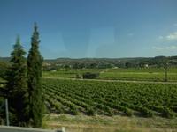 Weinanbaugebiet von Bandol in Südfrankreich