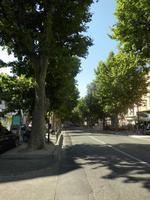 Cours Mirabeau in Aix de Provence