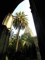 in der Kathedrale von Barcelona