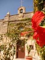 Auf dem Weg zur Olivenfarm