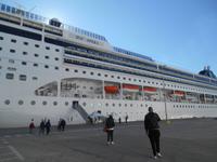 MSC Opera im Hafen von Split