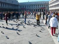 Venedig, Markusplatz
