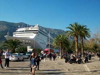 MSC Opera im Hafen von Kotor