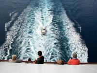 Straße von Messina, Lotsenboot