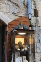 Impressionen in Kotor