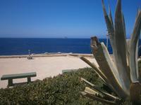 Blick zur Vogelinsel