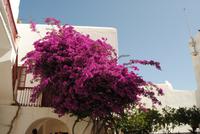 Mittelmeerkreuzfahrt mit Mein Schiff 2 (126)