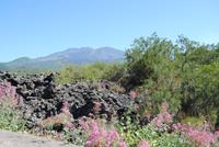 Mittelmeerkreuzfahrt mit Mein Schiff 2 (230)