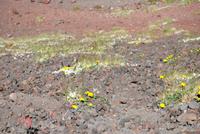 Mittelmeerkreuzfahrt mit Mein Schiff 2 (253)