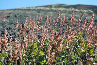 Mittelmeerkreuzfahrt mit Mein Schiff 2 (265)