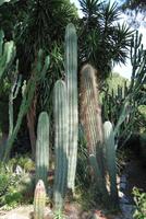 Mittelmeerkreuzfahrt mit Mein Schiff 2 (286)