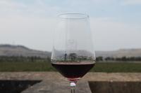 Meridiana Wine Estate (2)