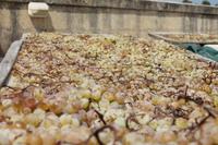 Meridiana Wine Estate (6)