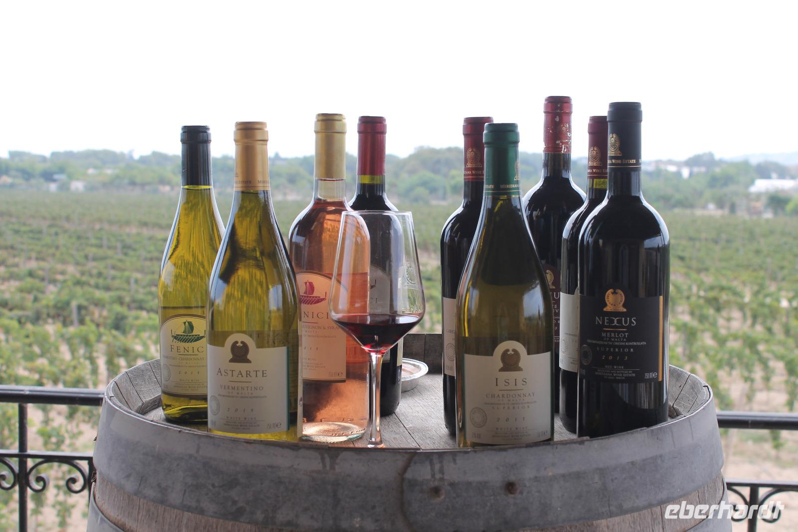 Meridiana Wine Estate (9)