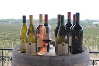 Meridiana Wine Estate (9)