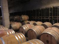 Mallorca - Inselrundfahrt - Besuch im Weingut Bodegas Angel in Santa Maria del Camí