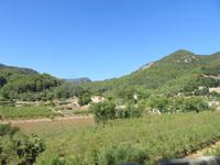 Mallorca - Inselrundfahrt - Fahrt nach Valldemossa