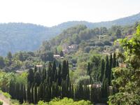 Mallorca - Inselrundfahrt - Valldemossa