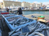 Marseille - alter Hafen in der Innenstadt - Fischmarkt