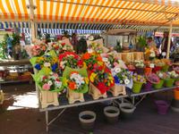 Nizza – Obst- und Blumenmarkt