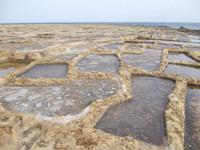 DSCN0324 Salzpfannen bei Marsalforn