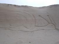 DSCN0329 die Schnecke von Herrn Schneck