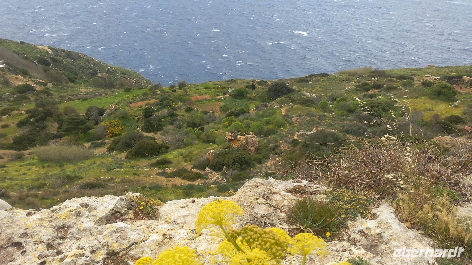 Dingli Klippen, 