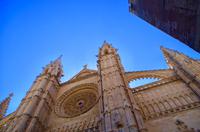 Mallorca - Kathedrale