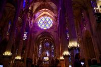 Mallorca - Kathedrale