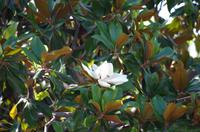 Impressionen Cote d'Azur