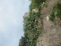 168_Mistra-Bucht