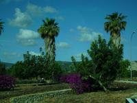 Inselrundfahrt Mallorca