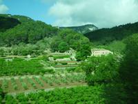 Inselrundfahrt Mallorca