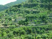 Inselrundfahrt Mallorca