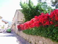 ...hier auch - traumhaft