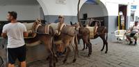 Rhodos - die Maultierstation für den Ritt zur Akropolis in Lindos