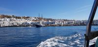 Mykonos - Fahrt mit dem Tenderboot