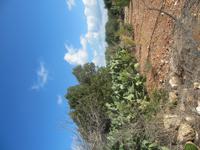 071_Wanderung nach Mgarr