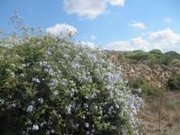 073_Wanderung nach Mgarr