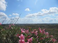 078_Wanderung von Victoria Lines zum Buskett Garden
