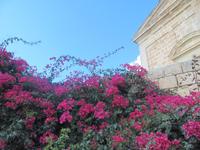 089_Wanderung nach Alapsi