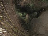 138_Wanderung von Mtahleb nach Bahrija