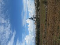 147_Wanderung von Bahrija nach Mgarr