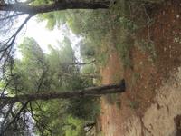 152_Wanderung durchs Mistra-Tal