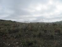 153_Wanderung durchs Mistra-Tal