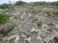 158_Wanderung durchs Mistra-Tal