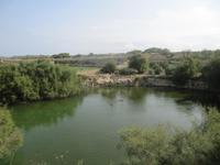 184_Wanderung zum Blue Hole_Süßwasserteich