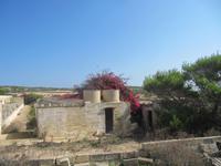 220_Wanderung auf Comino