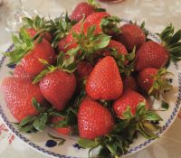 Die erntefrischen Erdbeeren sind unwiderstehlich gut, Malta