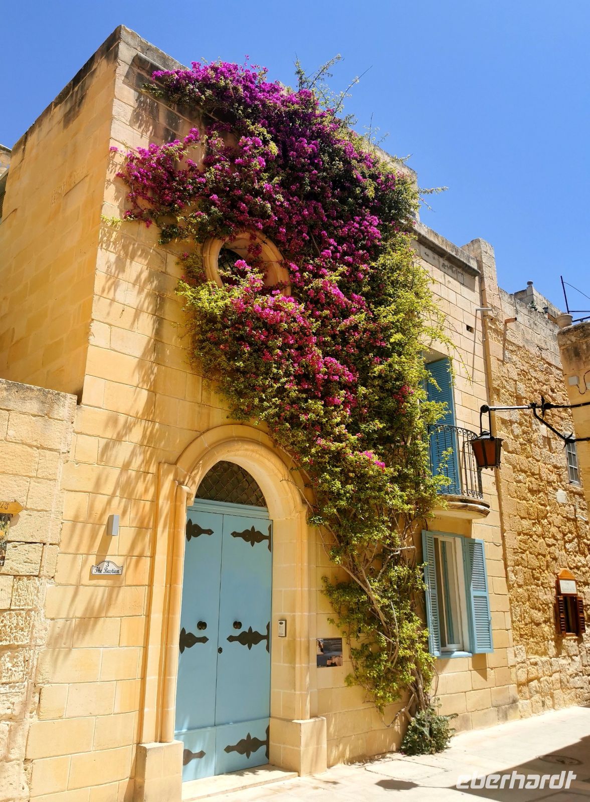 Typisch Mittelmeer, die rankende Bougainvilea an einem Haus in Mdina